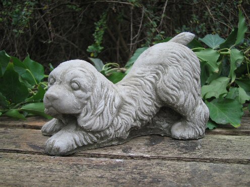 KA65 Small Playful Dog KA65 Small Playful Dog